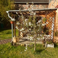 Die überdachte Terrasse