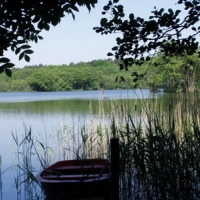 Das Ruderboot am Ufer