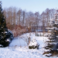 Blick zum See im Winter