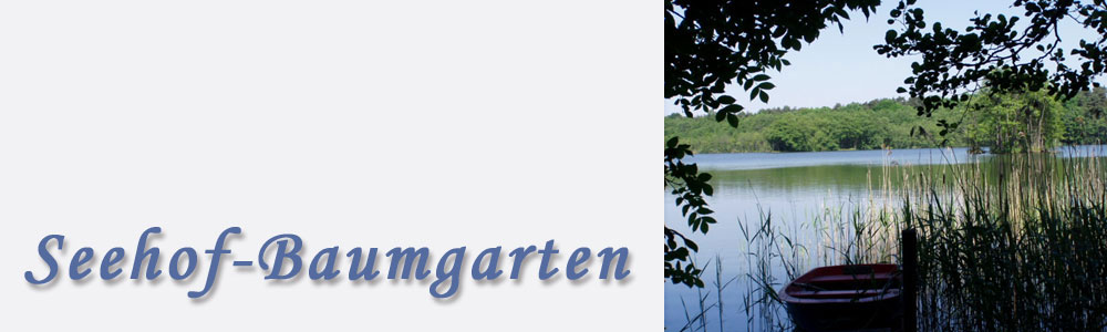 AGB und Kosten im Detail